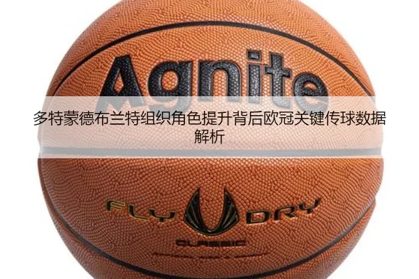 多特蒙德布兰特组织角色提升背后欧冠关键传球数据解析